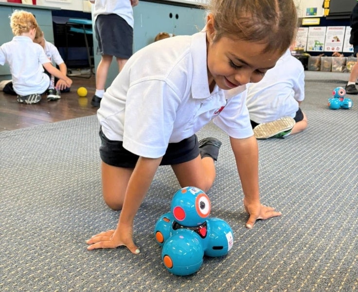 Gallery block 736 600px - Gallery Block Template